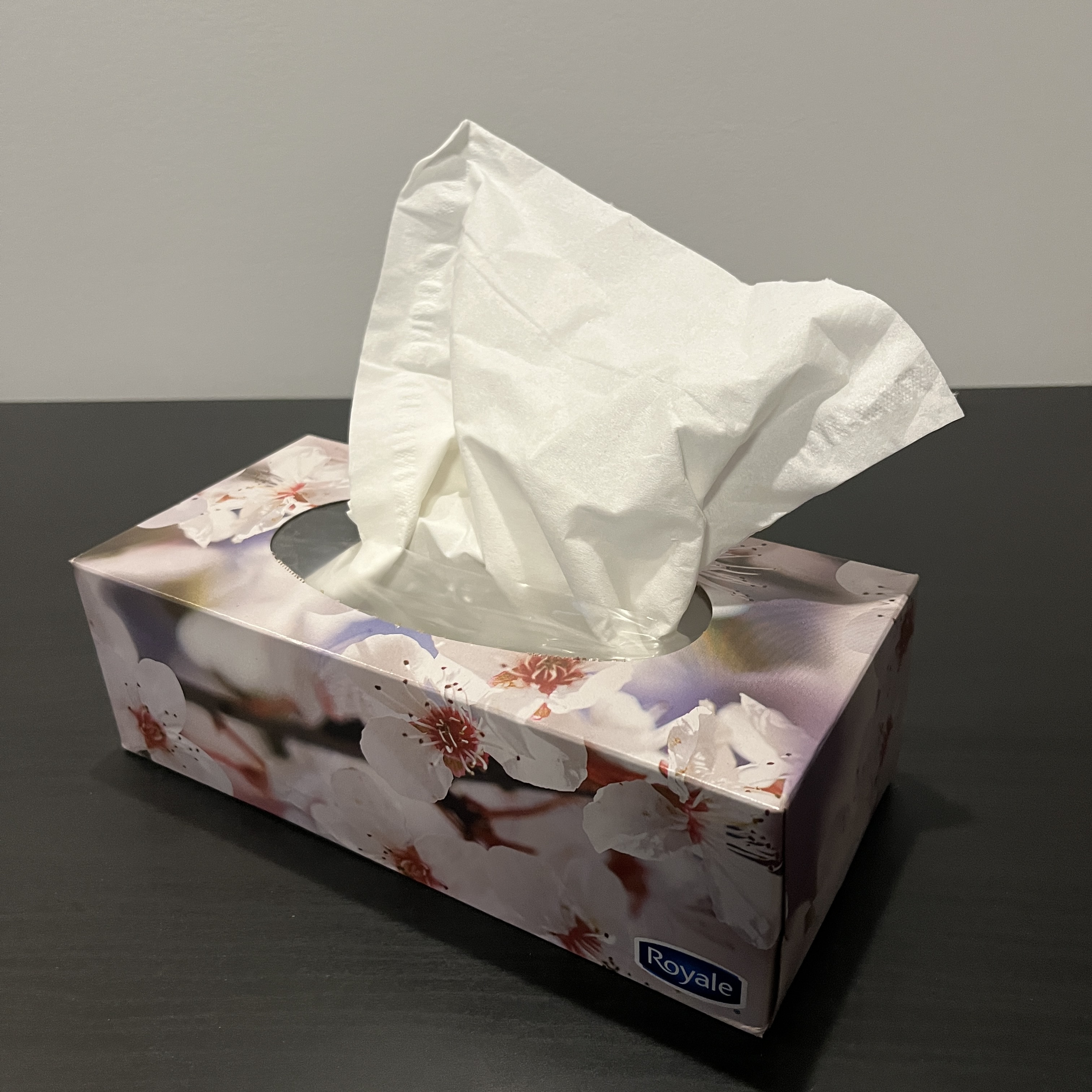 With this object, I wanted to challenge myself to stage an object in semi-motion. 