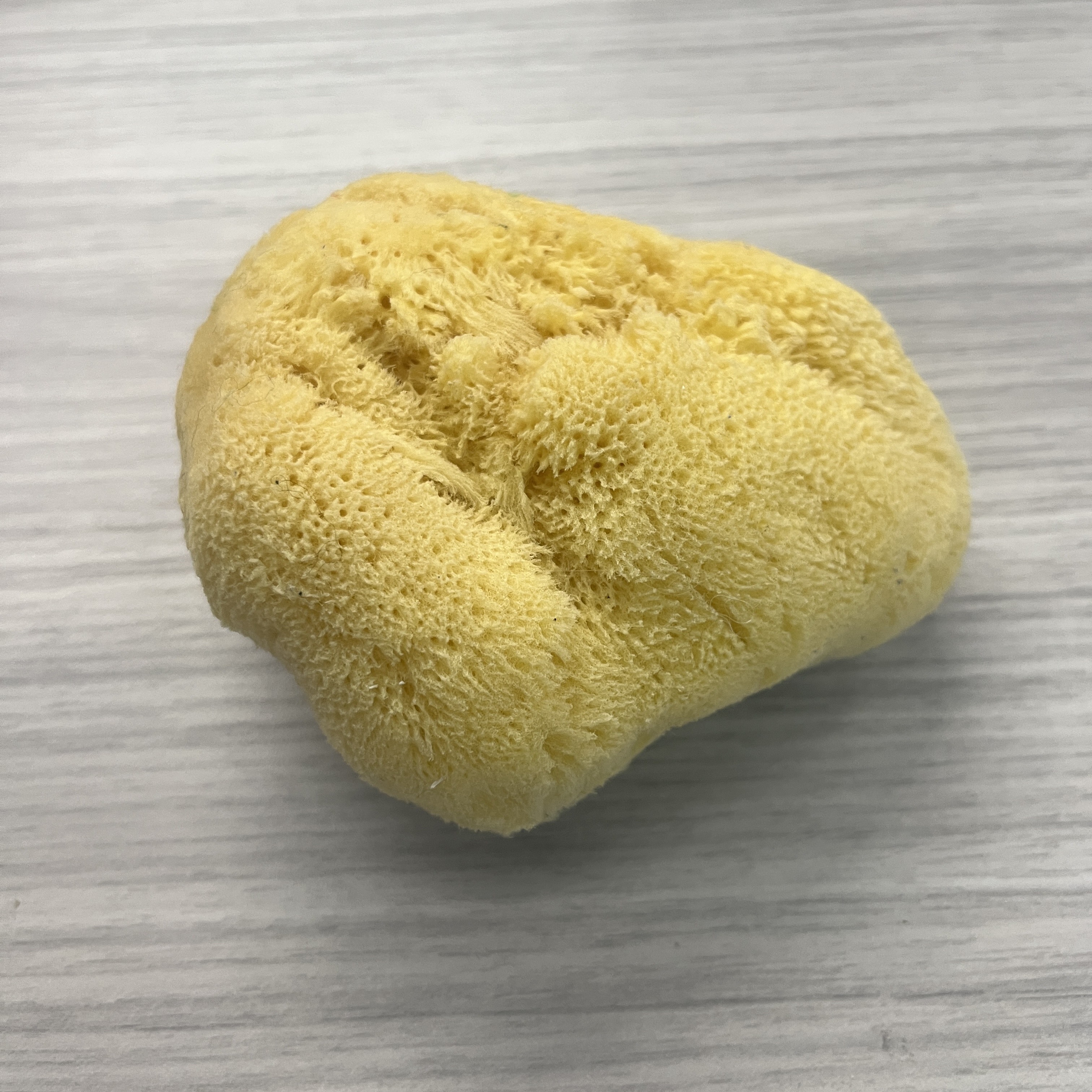 This object is a sponge. It's interesting how it's so light due to it's porus and fiberous nature. This also makes it squishy.