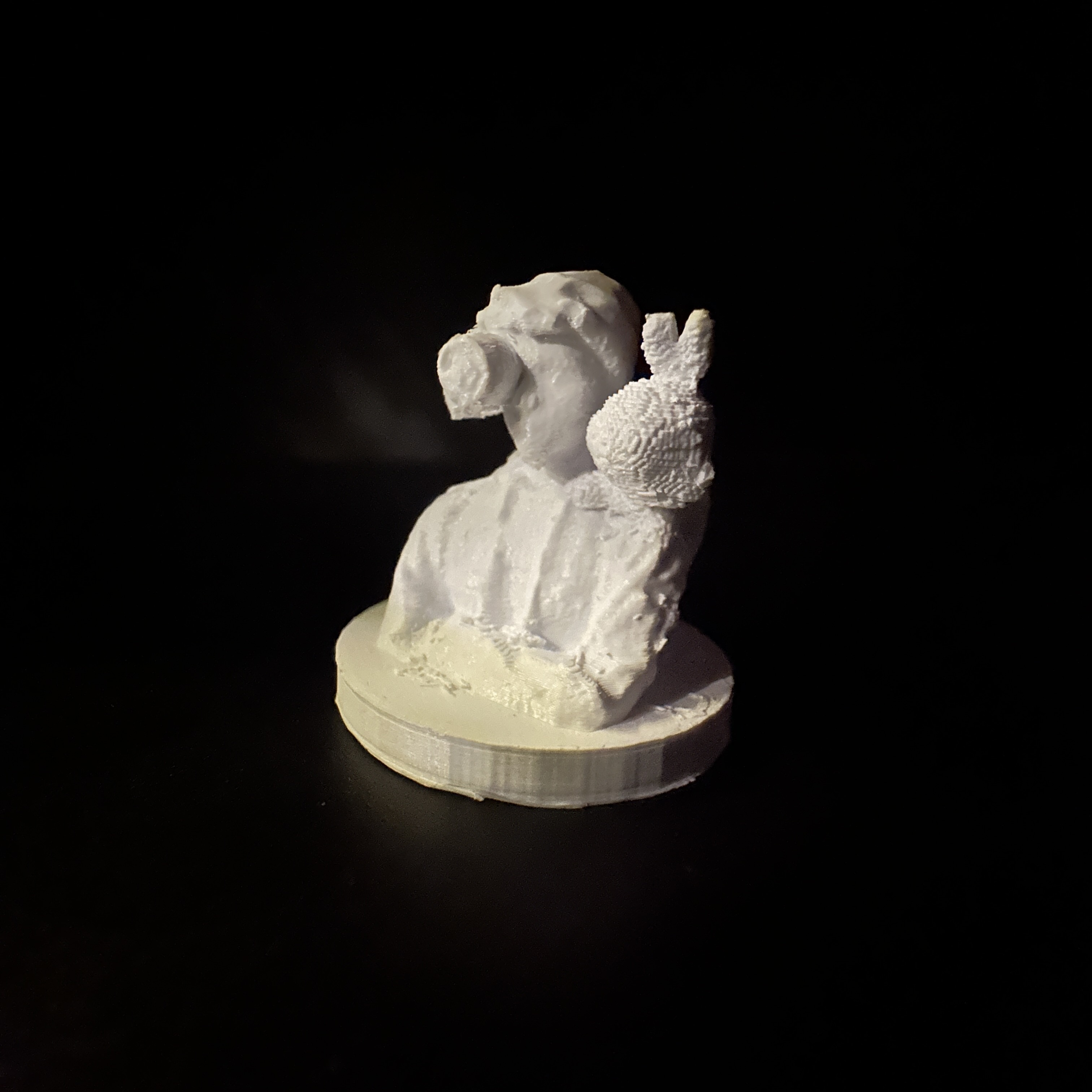 The final design of 'Through the Lens' showcases a bust of myself, with a Pixelated Turtwig on my shoulder and a camera replacing and obscuring part of my head